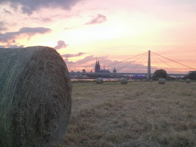 As a fixer and local producer, Lars von Lennep is taking care for additional crew and kit booking